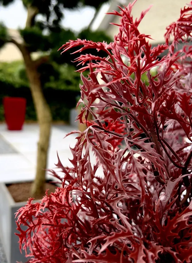 LeopoldFlora Buiten kunstplant Ming Aralia Burgundy uv-bestendig Groen