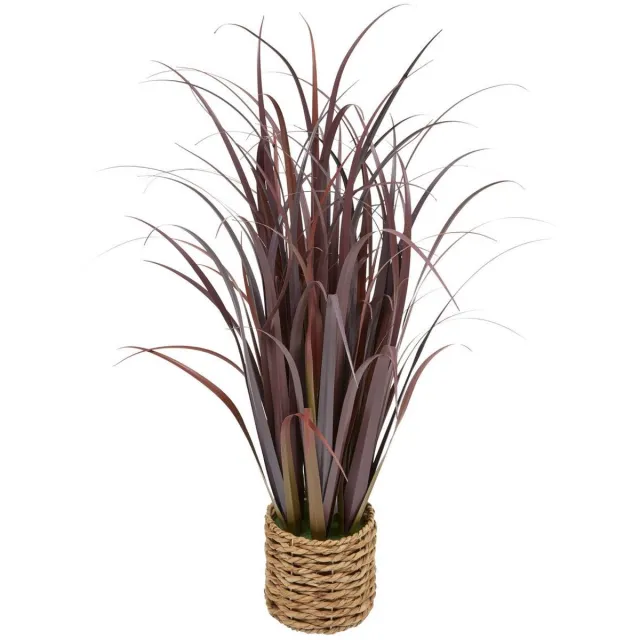Atmosphera Créateur d'intérieur® Grote plant ZYA Rouge