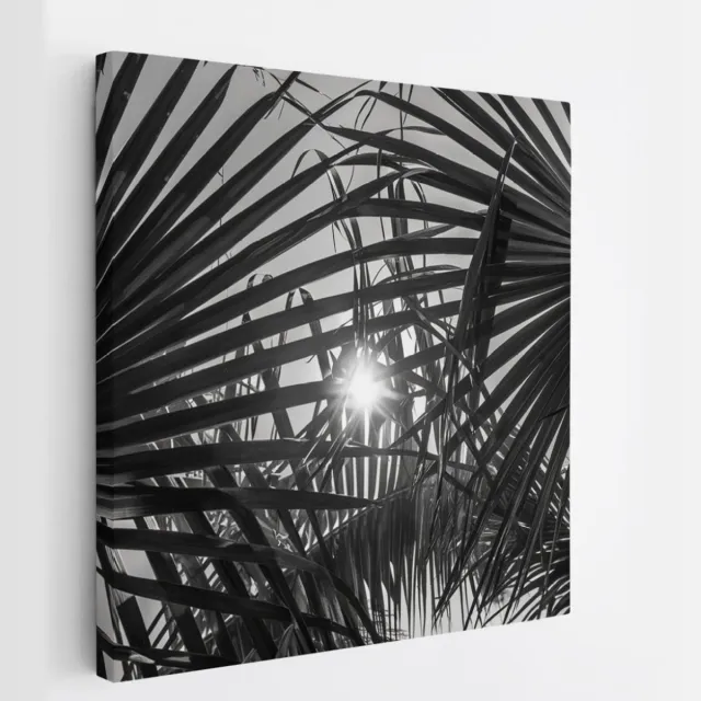 Saammp Canvas Schilderij - Zon tussen de planten - Zwart-Wit - Landschap - Natuur - 20x20 - Foto op canvas - Wanddecoratie - Muurdecoratie Woonkamer - Slaapkamer decoratie - Canvas Print Multicolor