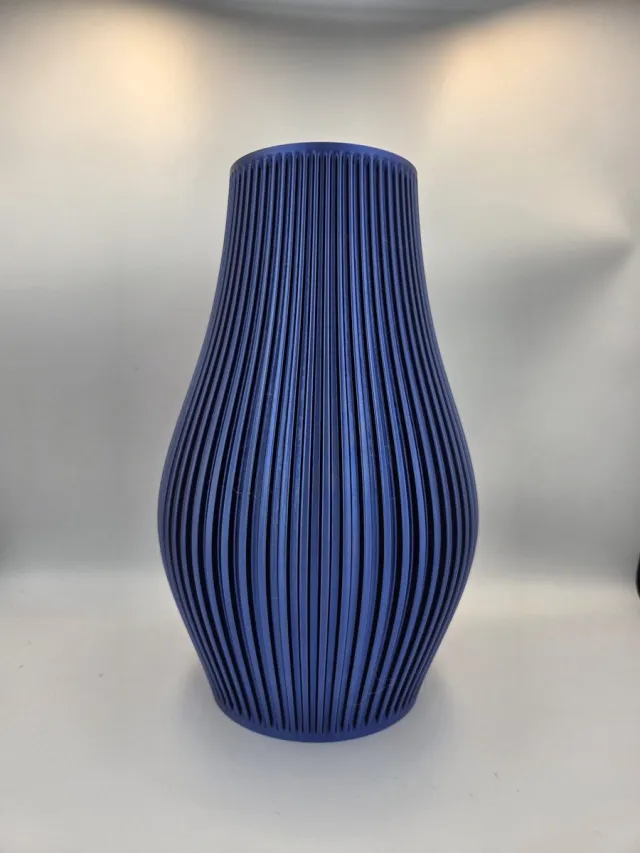 Care3D Vaas Maximus Blauw/Rood