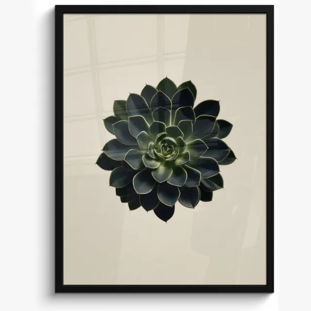 FrameYourWall Poster in lijst - Fotolijst 60x80 cm - Posters - Rozet - Cirkelvormig - Donkergroen - Posterlijst zwart - Decoratie - Wanddecoratie woonkamer - Muurdecoratie slaapkamer