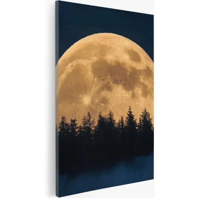 Saammp Canvas Schilderij - Maan met bos - Natuur - Landschap - 40x60 - Foto op canvas - Wanddecoratie - Muurdecoratie Woonkamer - Slaapkamer decoratie - Canvas Print Multicolor