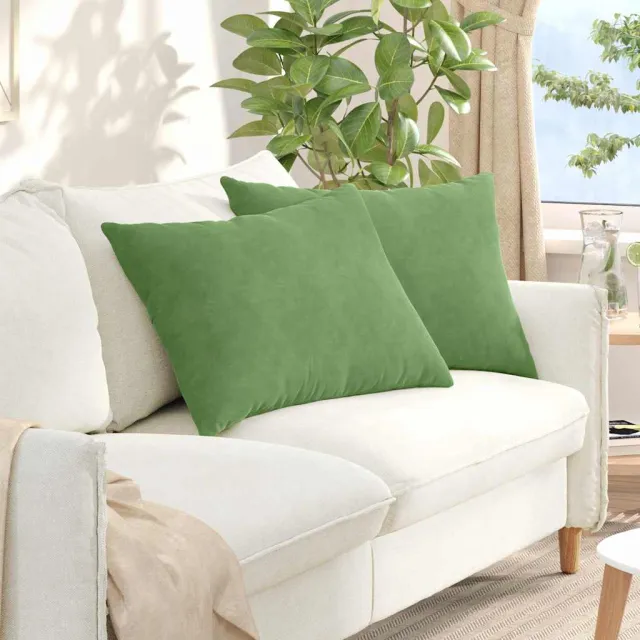 vidaXL Sofa Kussens 2 st fluweel Lichtgroen 70 x 50 cm groen
