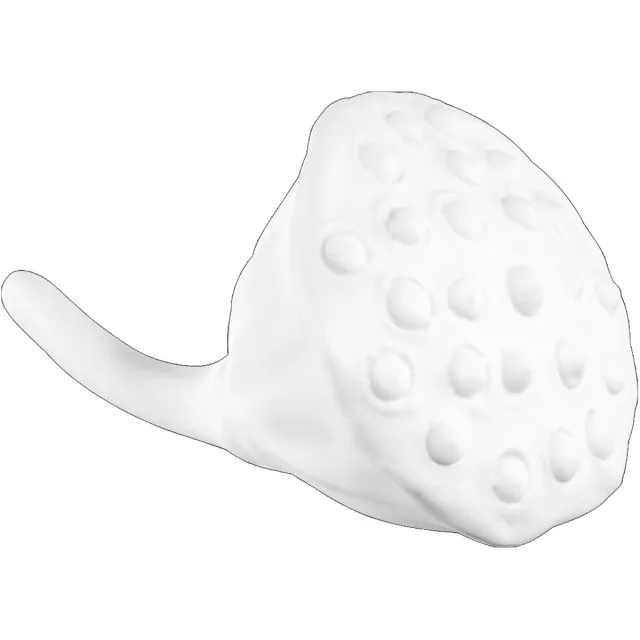 ASA Selection Deco Lotusvrucht, decoratieve vrucht, fijnsteen, wit, Ø 8 cm, 66763091