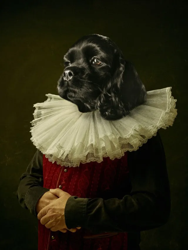 Vgdesign Hond in klassiek kostuum 50x70 cm tuinposter banner VGDesign onbekend