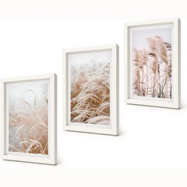 Coloray 3-Delige Schilderij Set - Grasvelden in delicate tinten bruin en beige. - 20x30 - Decoratieve Muurdecoratie - Slaapkamer - Interieur Decoratie Witte lijst