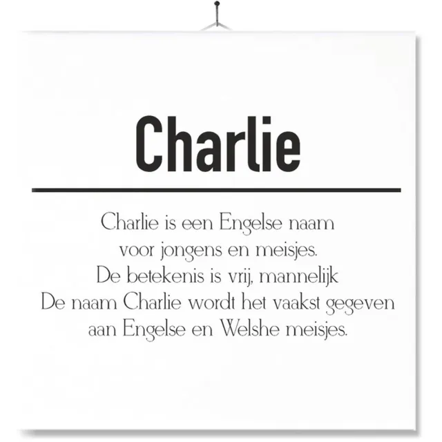 MC Living Tegel Met Opdruk | Betekenis | Kado | Cadeau | Met Naam - Charlie Multi-Color