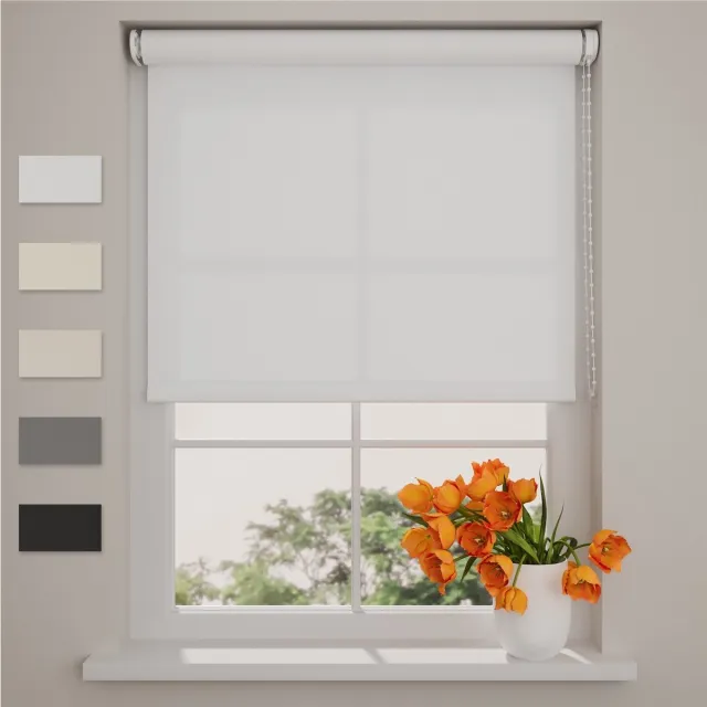 DTCH Rolgordijn Easy Lichtdoorlatend - Bright White - 200 x 275 cm Helder wit