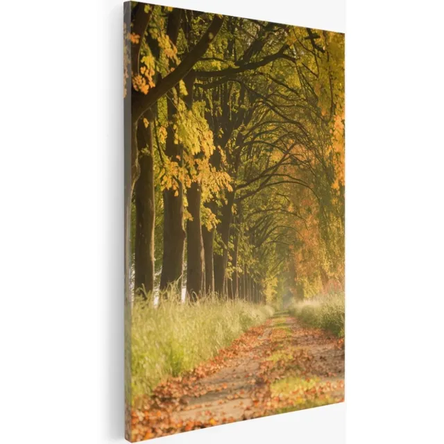 Saammp Canvas Schilderij - Bospad - Nederland - Landschap - Natuur - 100x150 - Foto op canvas - Wanddecoratie - Muurdecoratie Woonkamer - Slaapkamer decoratie - Canvas Print Multicolor