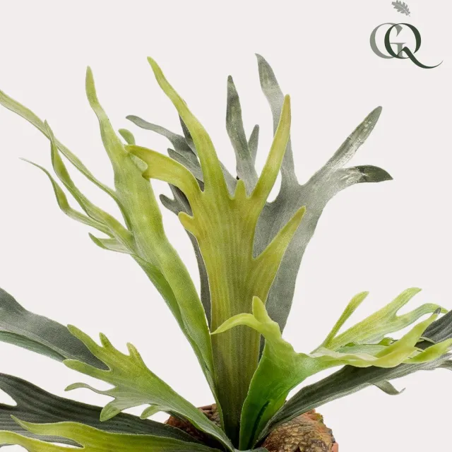 Green Harmony Plants Kunstplant - Staghorn Fern - Hertshoorn - 50 cm Bruin