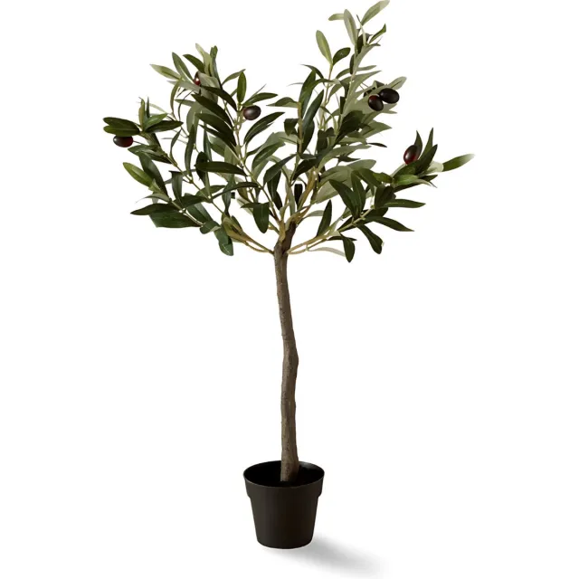 Dulaire Kunst Olijfboom Voor Binnen 65 cm groen
