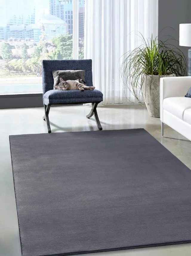 the carpet Cosy Vloerkleed in Bontlook – Super zacht, wasmachinebestendig, Öko-Tex Standard 100, Perfect voor Woonkamer & Slaapkamer – Antraciet