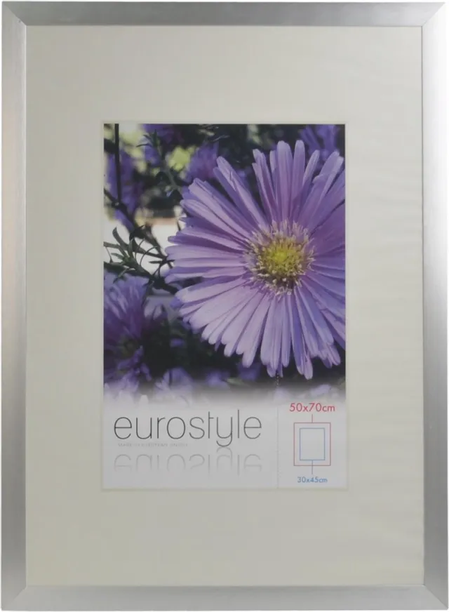 Desq 4905 | Fotolijst Aluminium | Sterk Helder Plexiglas | 50 × 70 cm