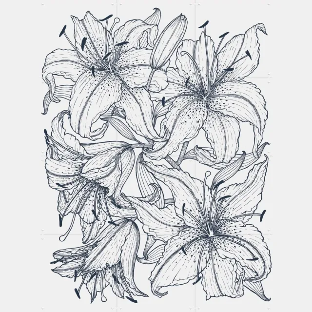 IXXI Lilies Grey, Geertje Aalders - 60 x 80 cm - Grote wanddecoratie en posters - Illustraties, Line art, Woonkamer, Slaapkamer, Natuur, Bloemen Wit / Monochroom / Pastel kleuren