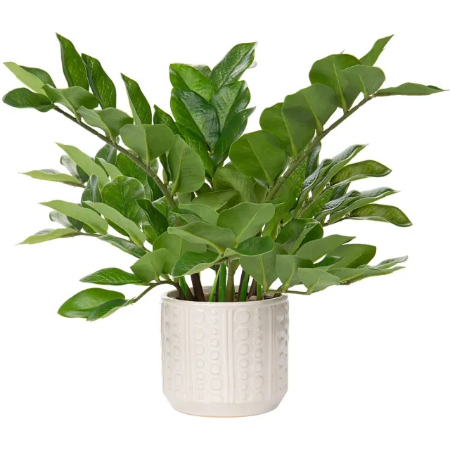 Unyqoos Stijlvolle kunstplanten in pot voor decoratieve tafelaankleding en interieur, groente, 39 cm