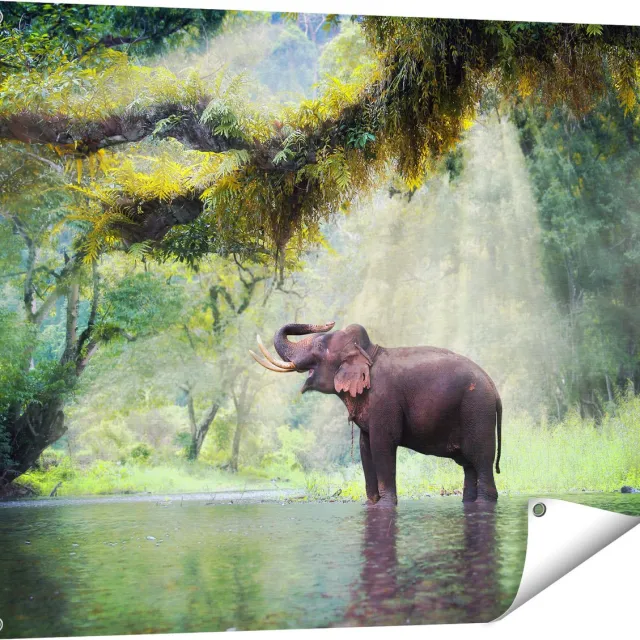 Gards Tuinposter Vrolijke Olifant in het Water - 100x80 cm - Tuindoek - Tuindecoratie - Wanddecoratie buiten - Tuinschilderij Multikleur