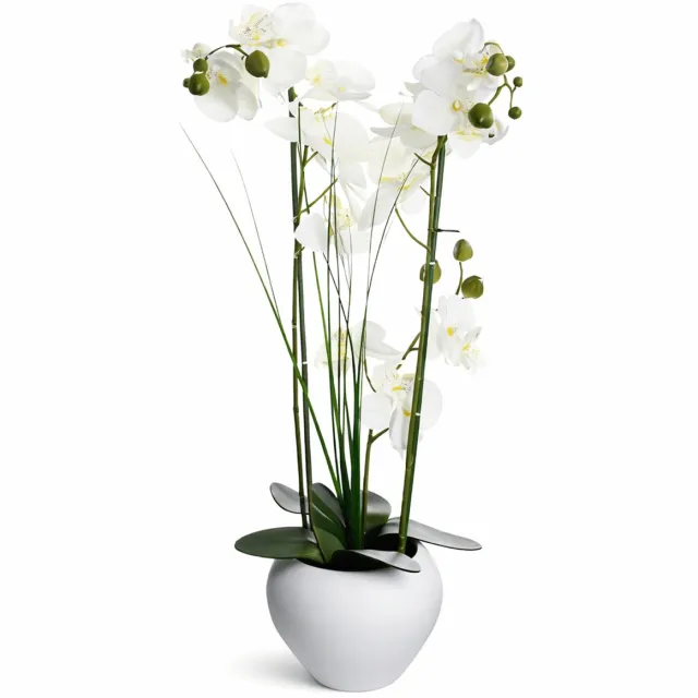 WDMT Luxe Kunstorchidee (Phalaenopsis) in Witte Keramieken Vaas – 53 cm Hoge Onderhoudsvrije Nepplant met Realistische Witte Bloemen & Groene Bladeren – Stijlvolle Kunstplant Voor Woonkamer, Slaapkamer, Keuken & Kantoor – Wit