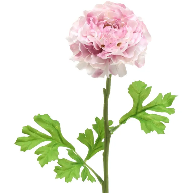 Viana Ranunculus lila H45cm Roze