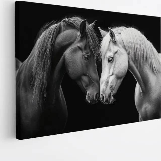 Saammp Canvas Schilderij - 2 Verliefde Paarden - Zwart-Wit - Dieren - Natuur - 45x30 - Foto op canvas - Wanddecoratie - muurdecoratie Woonkamer - Slaapkamer decoratie - Canvas Print Multicolor