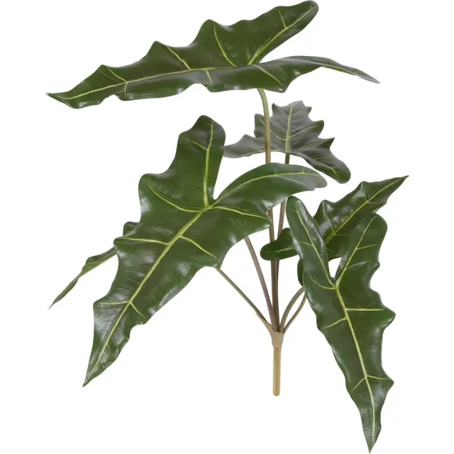 maxifleur Kunstplanten Alocasia Sarian kunstplant 60cm groen