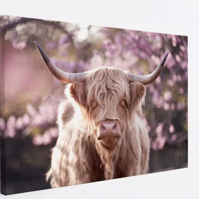 Saammp Canvas Schilderij - Schotse Hooglander Koeien met bevroren Hoorns - Winter - Landschap - Dieren - Natuur - 70x50 - Foto op canvas - Wanddecoratie - muurdecoratie Woonkamer - Slaapkamer decoratie - Canvas Print Multicolor