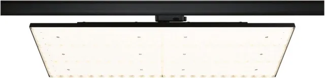 Paulmann 96583 ProRail3 LED-paneelverlichting 7000lm 75W 4000K 230V Zwart railsysteem