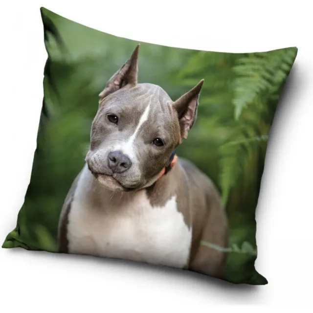 DOG Pitbull - grijs met wit - sierkussensloop - 40 x 40 cm meer kleuren